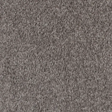 Oyster carpet swatch